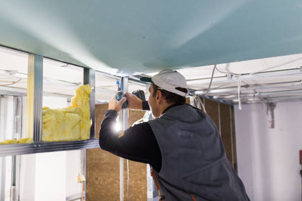 Best Insulation Repair Services  in Shirley, NY